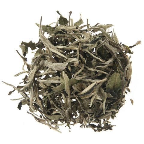 SILVER MOONLIGHT WILD WHITE